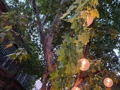 -Ginger(兴国路店)