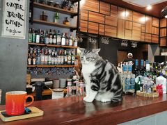 -咖法森林·咖啡  酒吧(天河店)