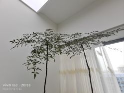 -HEYAN荷妍专业脱毛连锁机构