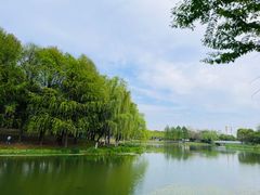 -尚贤河湿地