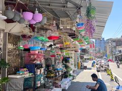 -溪岸路花鸟市场