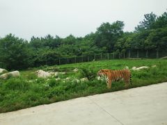 -西安秦岭野生动物园