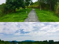 -苏州太湖国家湿地公园