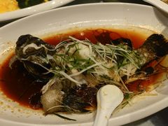 -大东海海鲜酒楼(渔人码头总店)