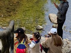 -龙湾潭国家森林公园
