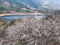 -广州市流溪河国家森林公园