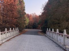 景点-上海海湾国家森林公园