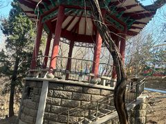-南山公园
