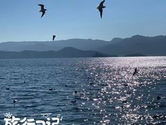 -深圳湾公园(南山区)