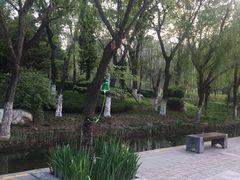 -红莲湖