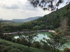 -九龙潭景区
