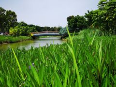 -琅岐红光湖公园