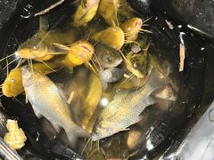 -忆乡情铁锅炖鱼饭店(延庆店)