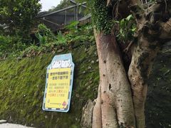 -平溪村