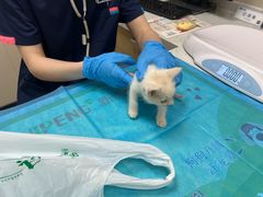 -芭比堂动物医院·CT·微创中心(新顺分院)