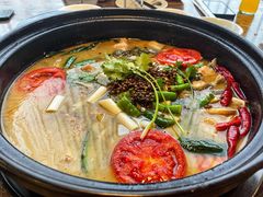 贡椒鱼-贡椒鱼老店·雅安十大名店