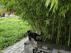 -天宁寺