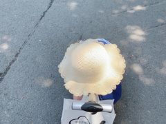 -横琴客运码头