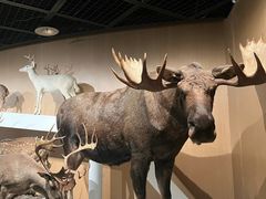 -陕西自然博物馆