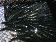 -鼎尚鲜斑鱼莊(新天润店)