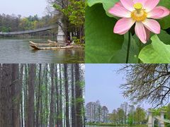 -十里·东湖院子(湖北省博物馆店)