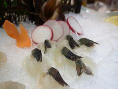 -宏八酒楼(西樵山景区店)