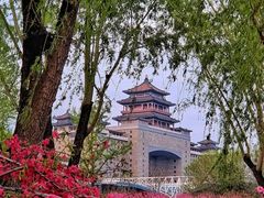 -莲花池公园