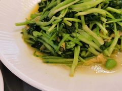 -冶春茶社(官园桥店)