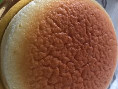 -卡吉诺动物奶油生日蛋糕(中原路店)