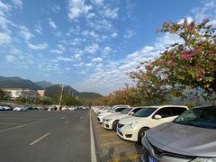 -羚羊峡古栈道森林公园