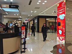 -红星美凯龙北京至尊MALL(东四环中路店)