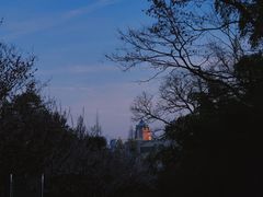 -南京古林公园