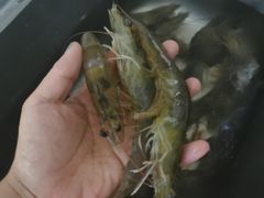 -鸿港海鲜批发市场