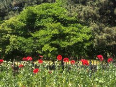 -国家植物园南园