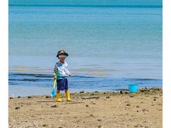 -北海金海湾红树林生态旅游区
