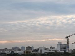 -红花山公园