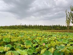 -渔岛海洋度假区