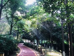 -西安汉城湖景区