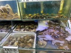 -震海贝烤贝·民俗特色店(延吉总店)