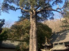 -青岛崂山太清宫