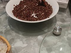 -朱记乳鸽王·非遗石岐乳鸽·全鸽宴(大兴旗舰店)