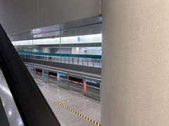 -上海浦东国际机场-T2航站楼