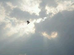 -艾溪湖湿地公园