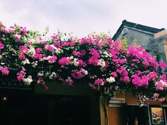 -会安古镇