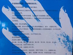 -福荫书店