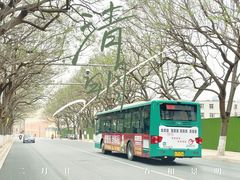 -福照楼汽锅鸡·云南菜(护国路店)