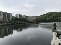 -杭州半山国家森林公园