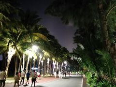 -万绿园