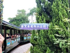 -东部华侨城