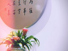 -枣子树·素食餐厅(普陀山店)